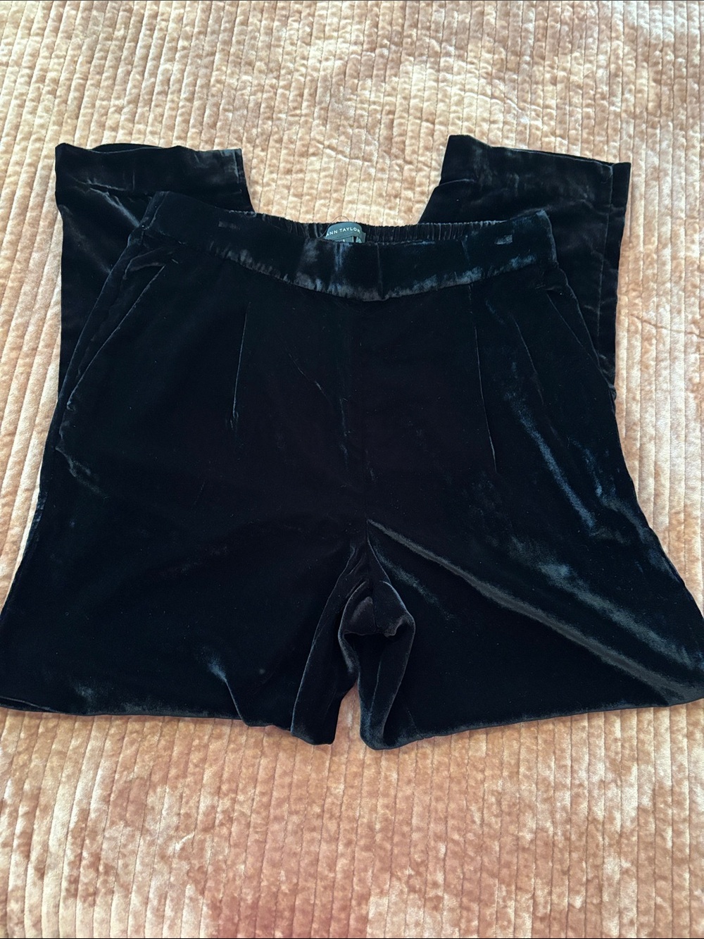 Ann Taylor Velvet Pants in Black